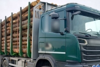 Prawie 65 ton drewna na ciężarówce! Przewoźnik może zapłacić nawet 32 tys. zł kary!
