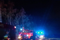 Pożar lasu w Modliszewku