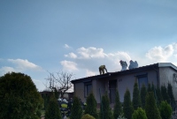 Pożar na terenie ogródków działkowych w Gnieźnie