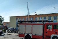 Alarm bombowy w Szkole Podstawowej nr 3 w Gnieźnie! Ewakuowano 640 osób