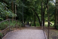 Park Miejski - wizytówka (?) w centrum Gniezna