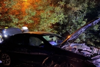 BMW uderzyło w drzewo! Kierowca uciekł z miejsca zdarzenia