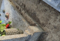 Gehenna właścicieli grobów? Administracja cmentarzy i kuria odpowiadają na zarzuty