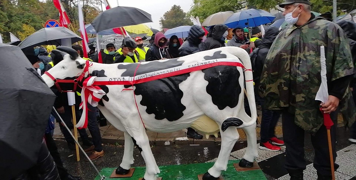 Rolnicy z powiatu gnieźnieńskiego protestowali w Warszawie