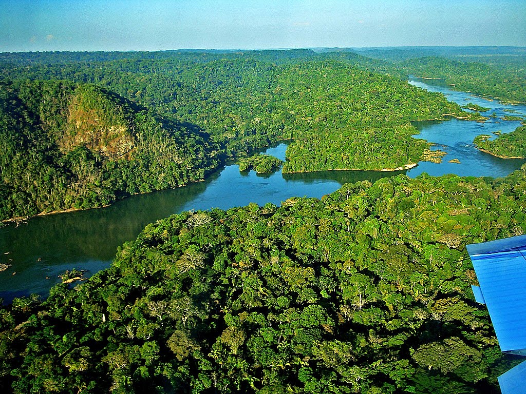 Kluczowe działania dla ratowania amazońskiego lasu deszczowego